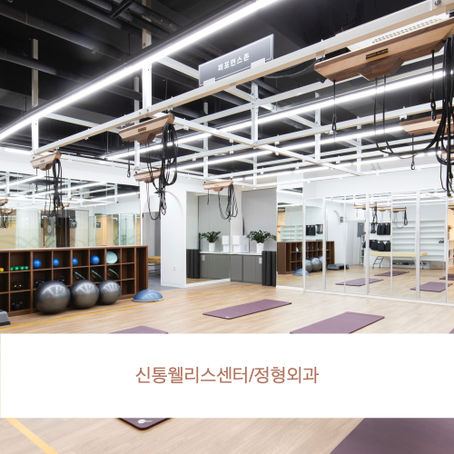 포트폴리오 병원99